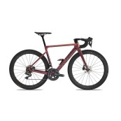Vivelo ANTE -  Ultegra Di2 12s Disc | Lime Rust Chameleon