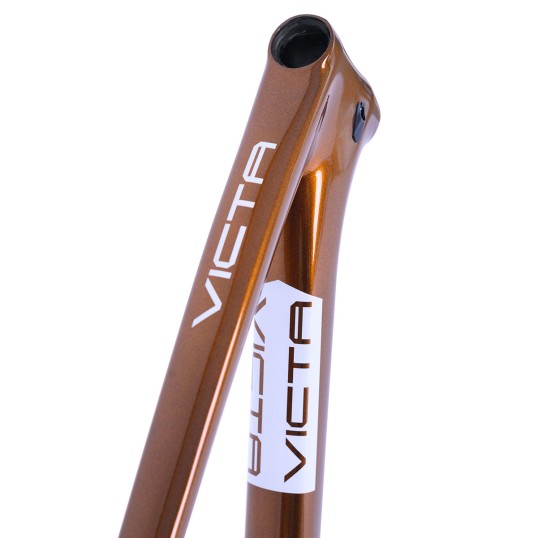 Vivelo VICTA | Frameset | Gold Rust Chameleon