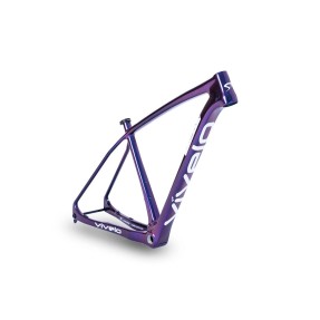 Vivelo VICTA | Frameset | Lime Blue Chameleon