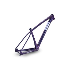 Vivelo VICTA | Frameset | Lime Blue Chameleon